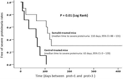 Semaphorin3A: A Potential Therapeutic Tool for Lupus Nephritis